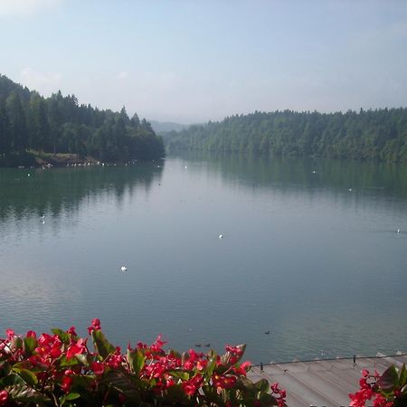 Gostisce Jezero Bed and Breakfast Medvode Buitenkant foto